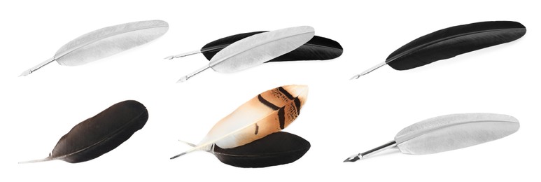 Image of Set with different quills on white background, banner design. Writing tool