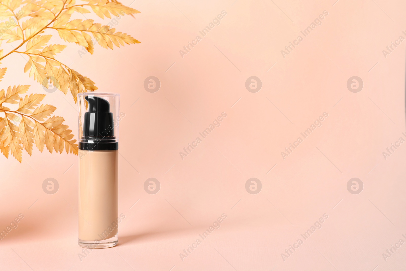 Photo of Bottle of skin foundation and decorative plant on beige background, space for text. Makeup product