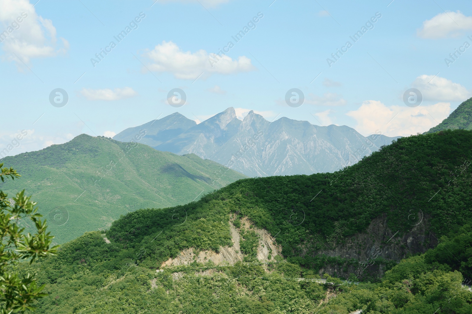 Photo of Big mountains and trees under cloudy sky