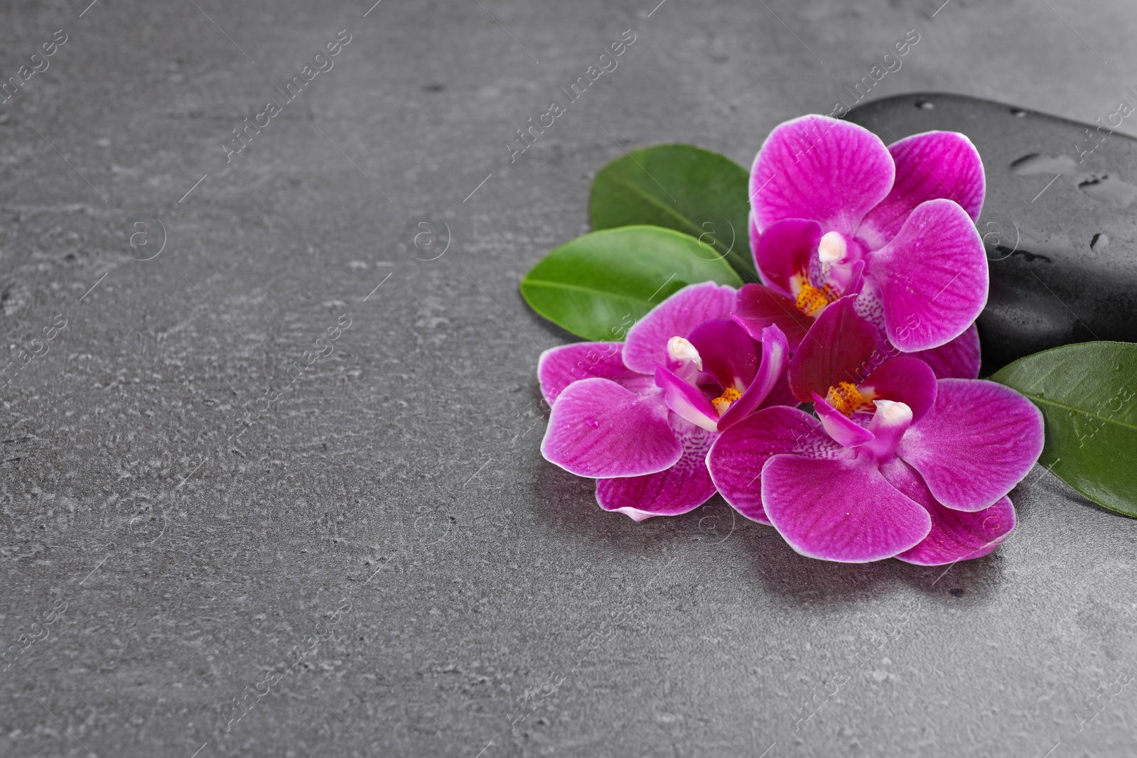 Photo of Spa stones and orchid flowers on grey background. Space for text