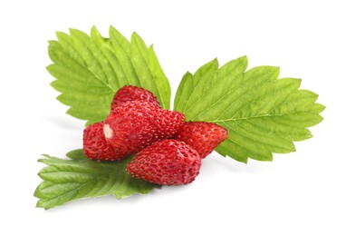 Photo of Ripe wild strawberries and green leaves isolated on white