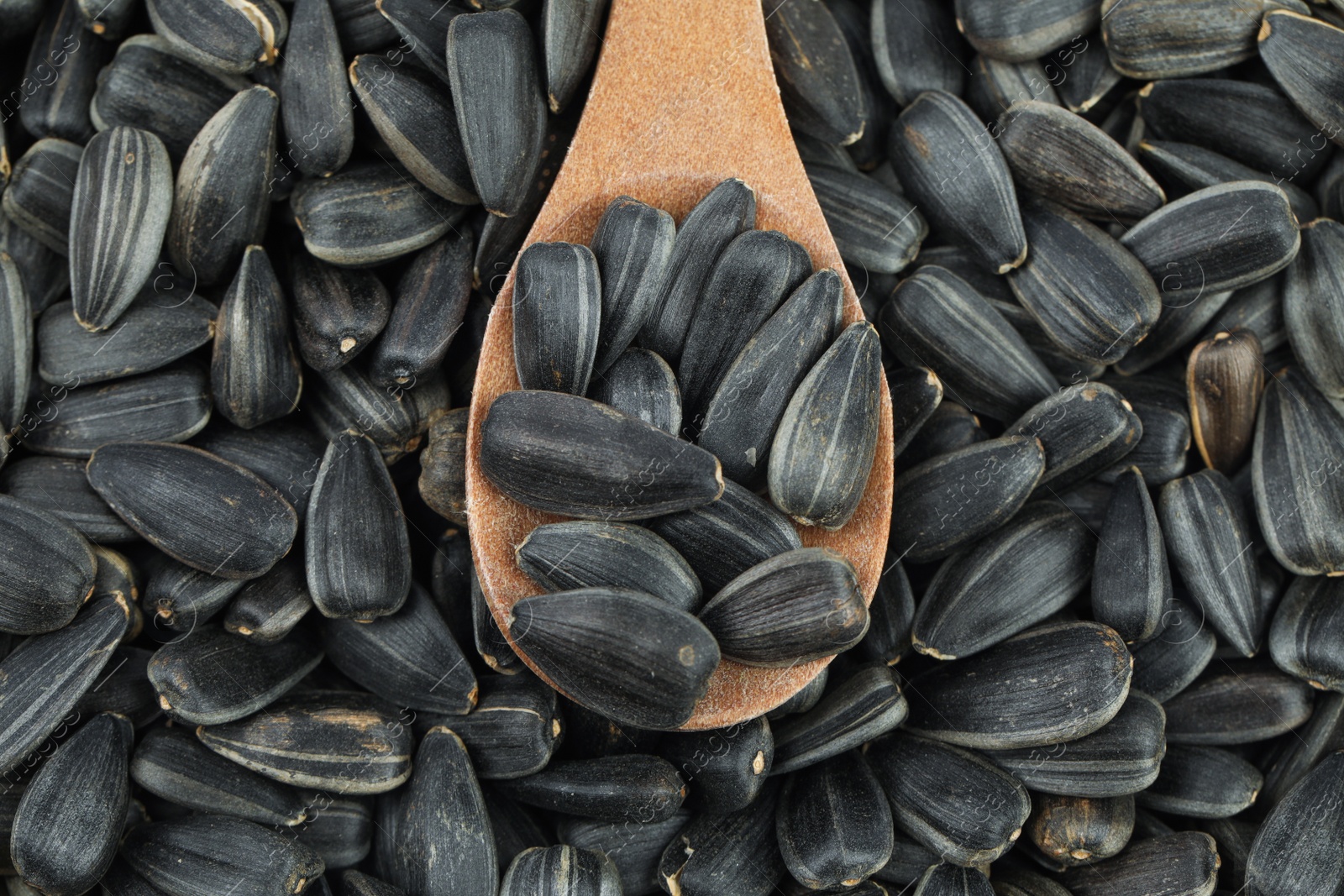 Photo of Spoon and sunflower seeds as background, top view