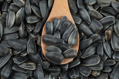 Spoon and sunflower seeds as background, top view