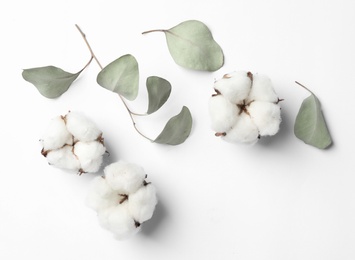 Composition with cotton flowers on white background, top view