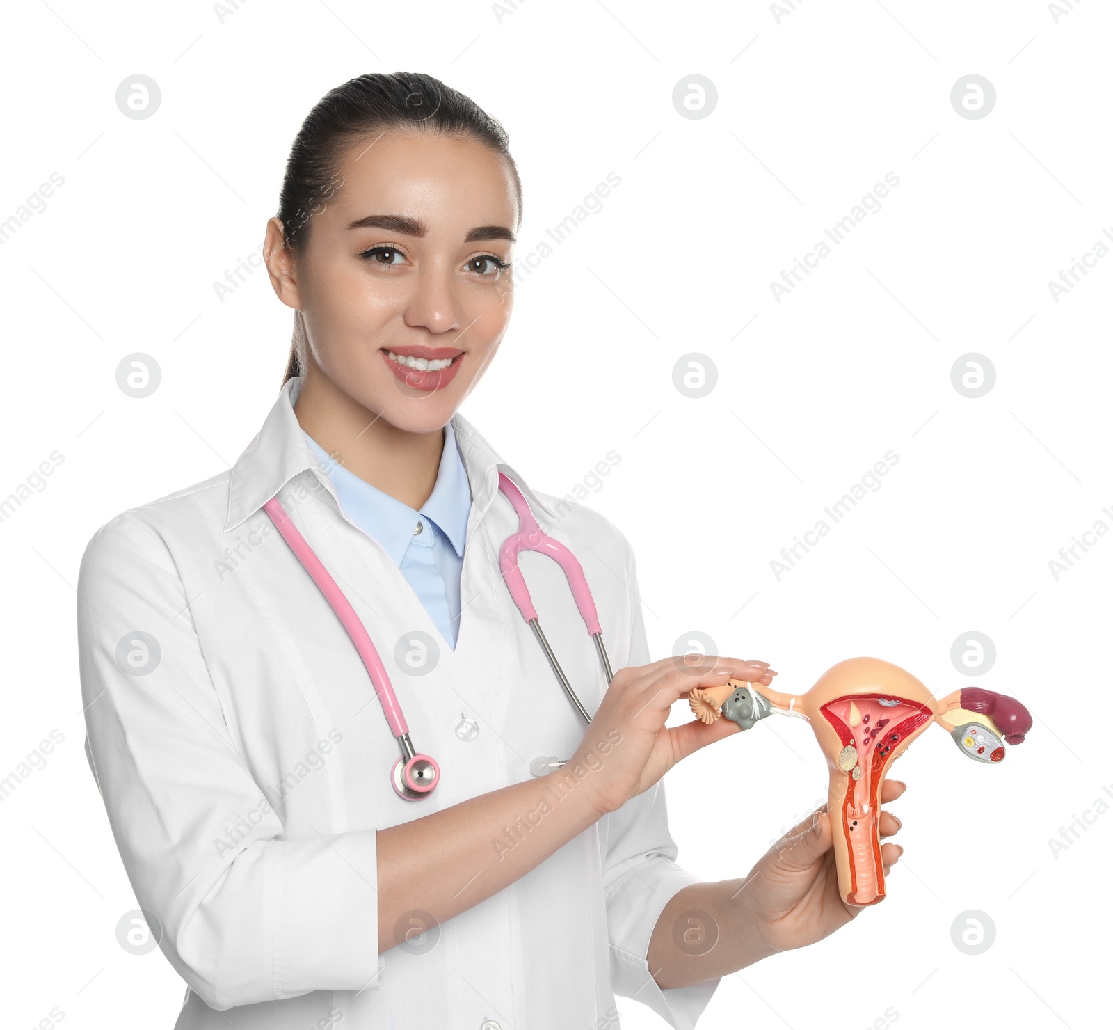 Photo of Doctor demonstrating model of female reproductive system on white background. Gynecological care