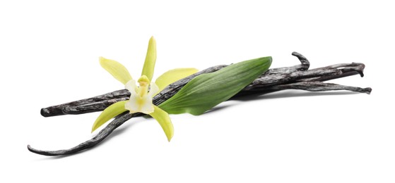 Vanilla pods, beautiful flower and green leaf isolated on white