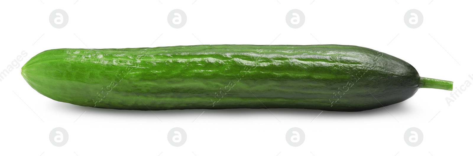 Photo of One long fresh cucumber isolated on white