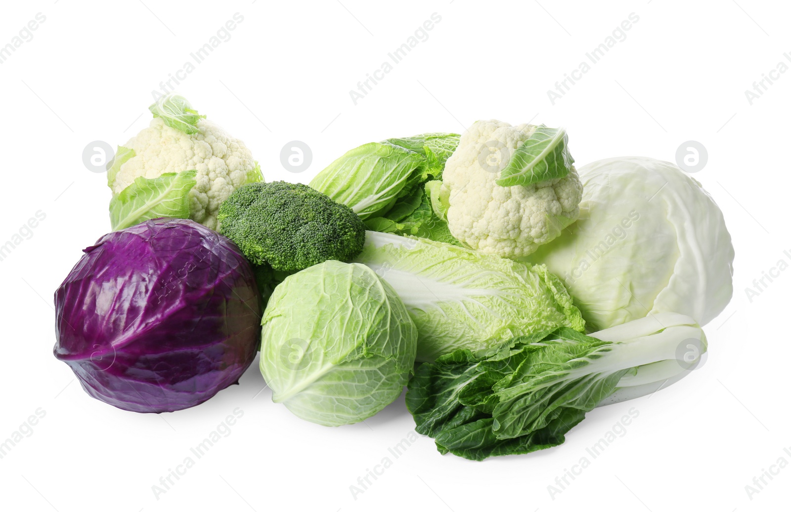 Photo of Many different fresh ripe cabbages on white background