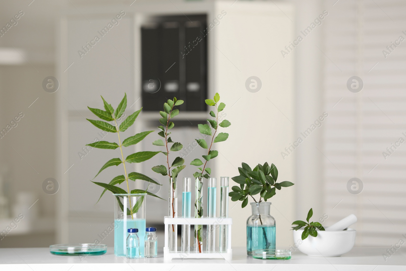 Photo of Many glass tubes with leaves on white table indoors