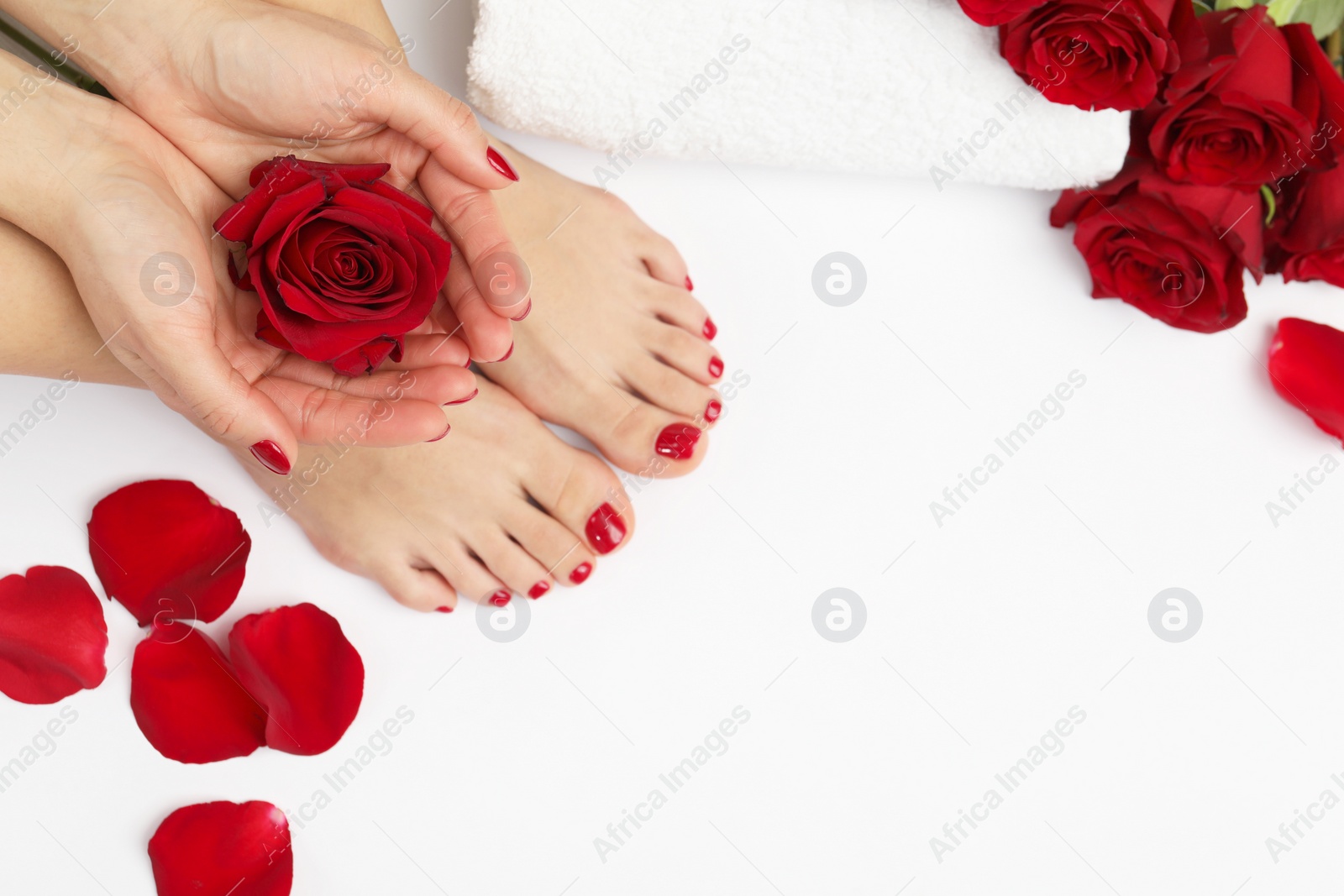 Photo of Woman with stylish red toenails after pedicure procedure and rose flowers on white background, top view. Space for text