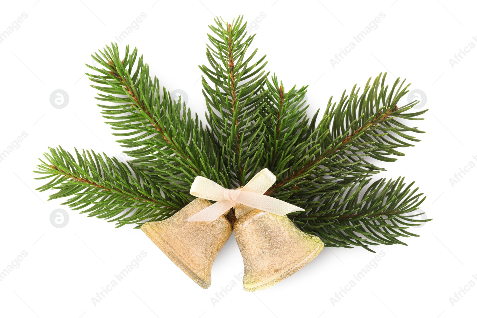 Photo of Golden shiny bells with bow and fir branches isolated on white. Christmas decoration