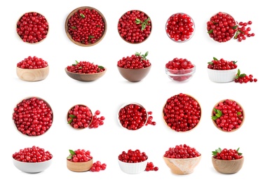 Image of Set of fresh ripe cranberries on white background