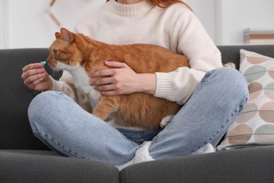 Photo of Woman giving pill to cute cat on sofa indoors, closeup