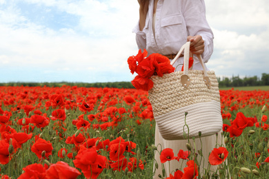 Photo of Woman with handbag picking poppy flowers in beautiful field, closeup