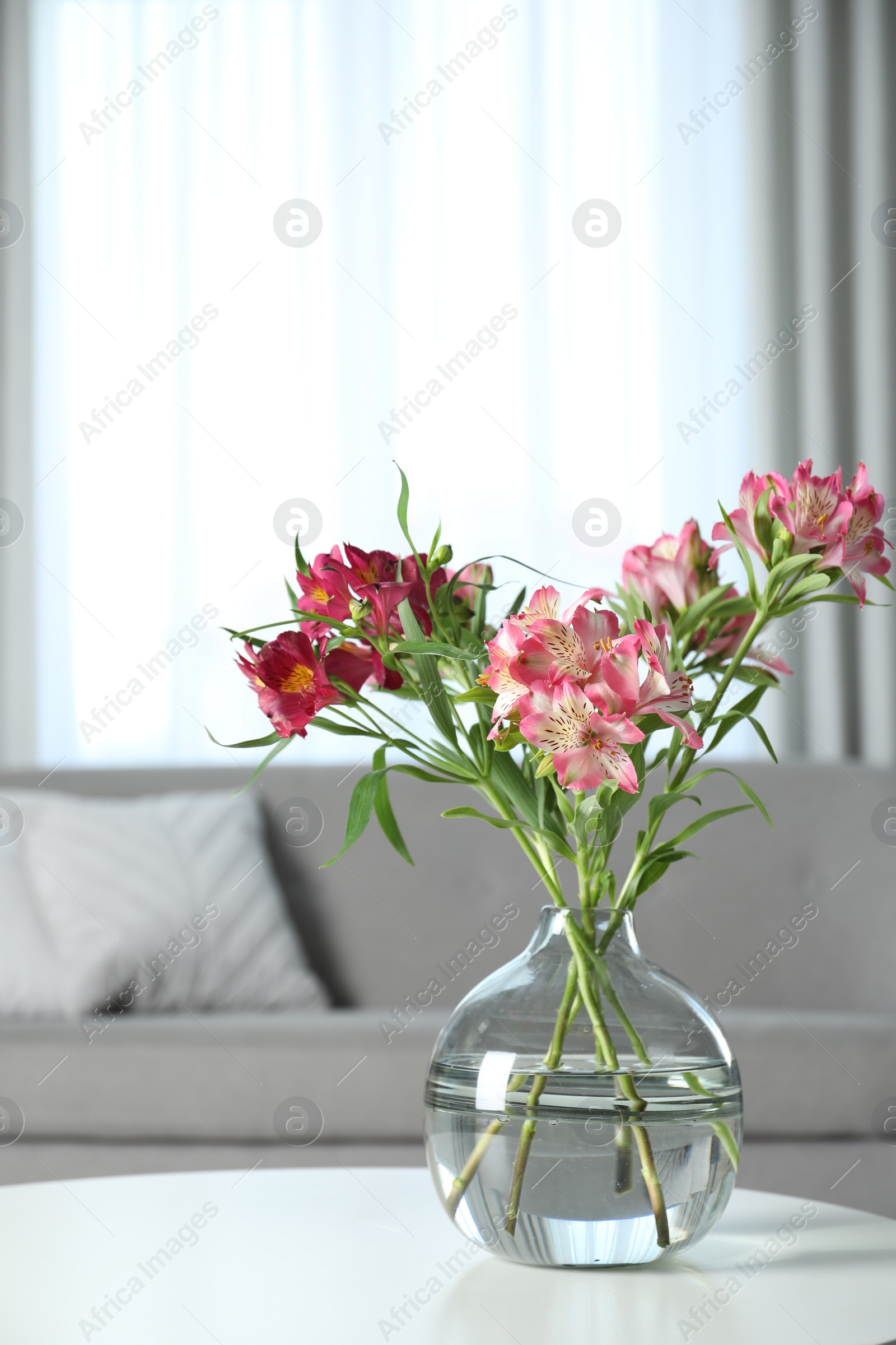 Photo of Vase with beautiful alstroemeria flowers on table in living room, space for text. Stylish element of interior design