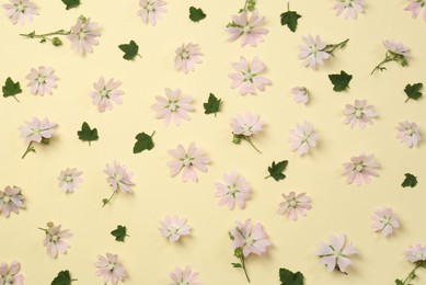 Photo of Flat lay composition with beautiful musk mallow flowers on beige background