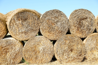 Many hay blocks outdoors on sunny day
