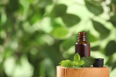 Photo of Glass bottle of nettle oil and leaves on wooden stump against blurred background, space for text