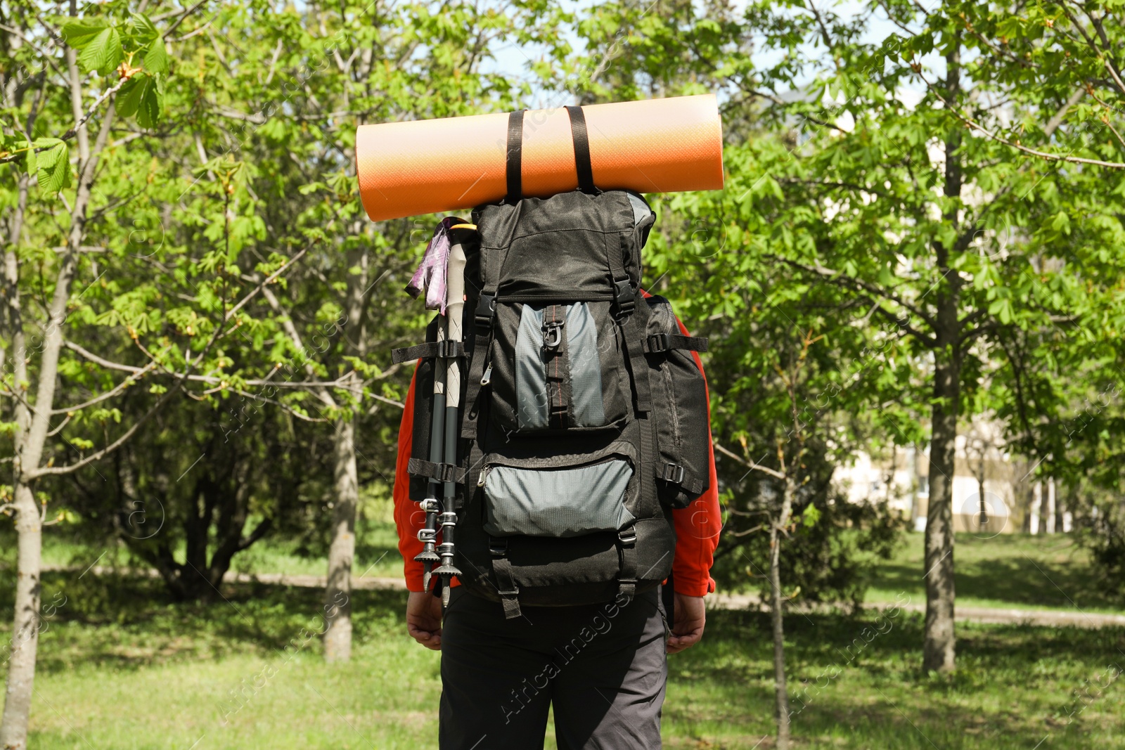 Photo of Hiker with backpack ready for journey in park, back view