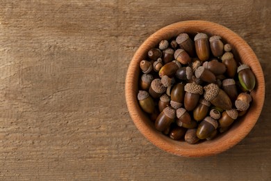 Photo of Bowl of acorns on wooden table, top view. Space for text