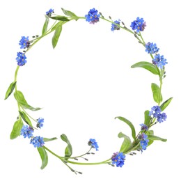 Wreath of beautiful wild flowers isolated on white