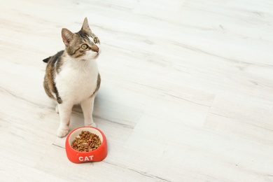 Photo of Cute cat with bowl of dry food on floor at home