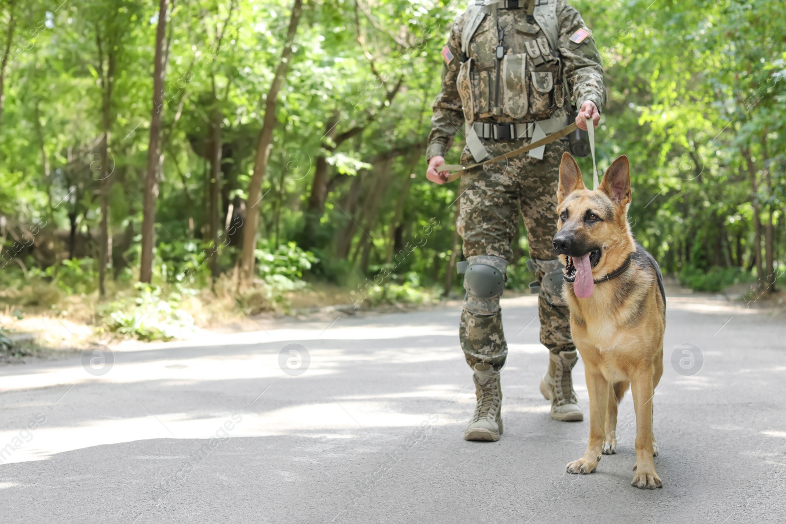 Photo of Man in military uniform with German shepherd dog outdoors