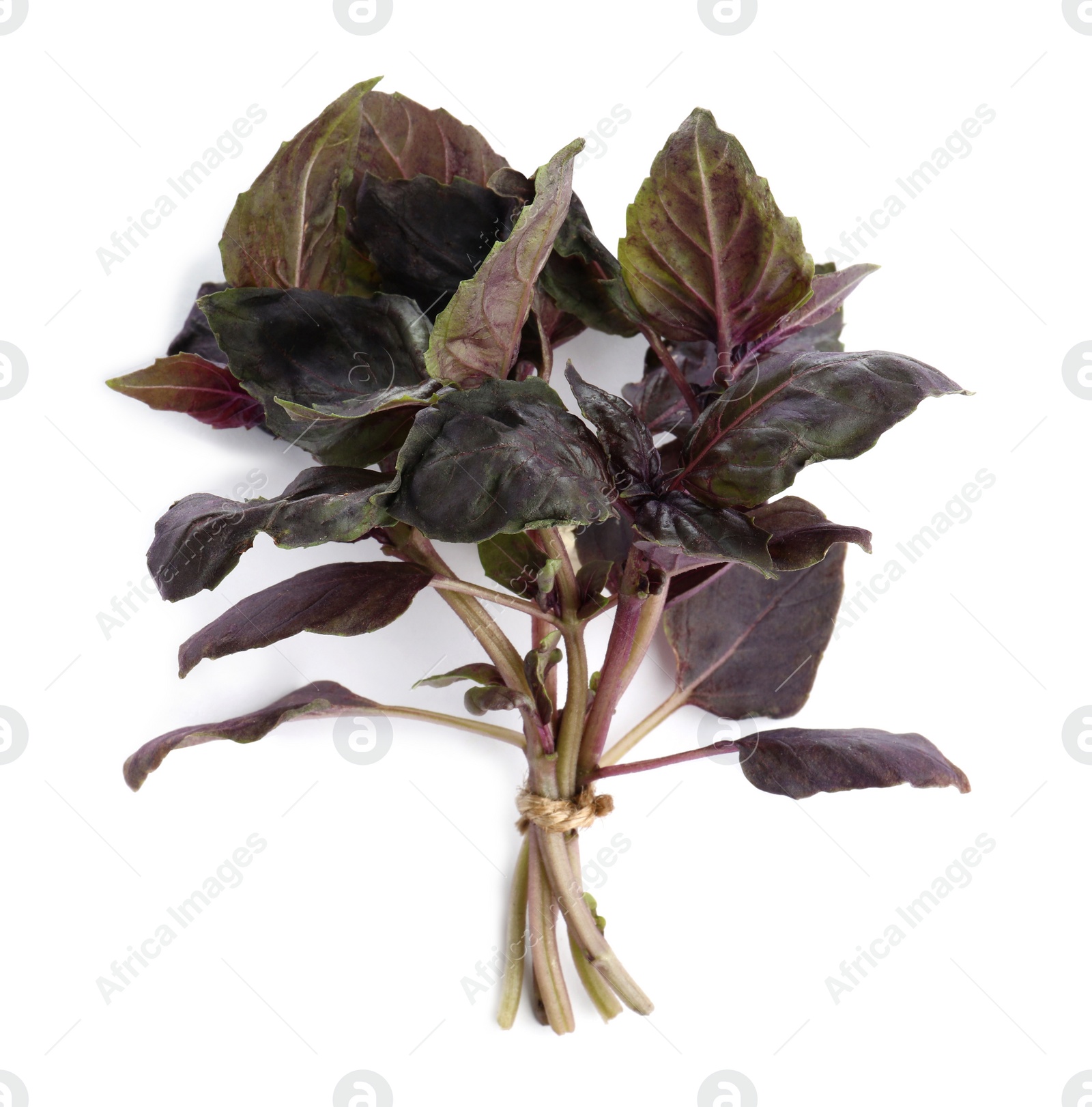 Photo of Bunch of aromatic fresh purple basil leaves on white background, top view