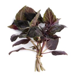 Photo of Bunch of aromatic fresh purple basil leaves on white background, top view