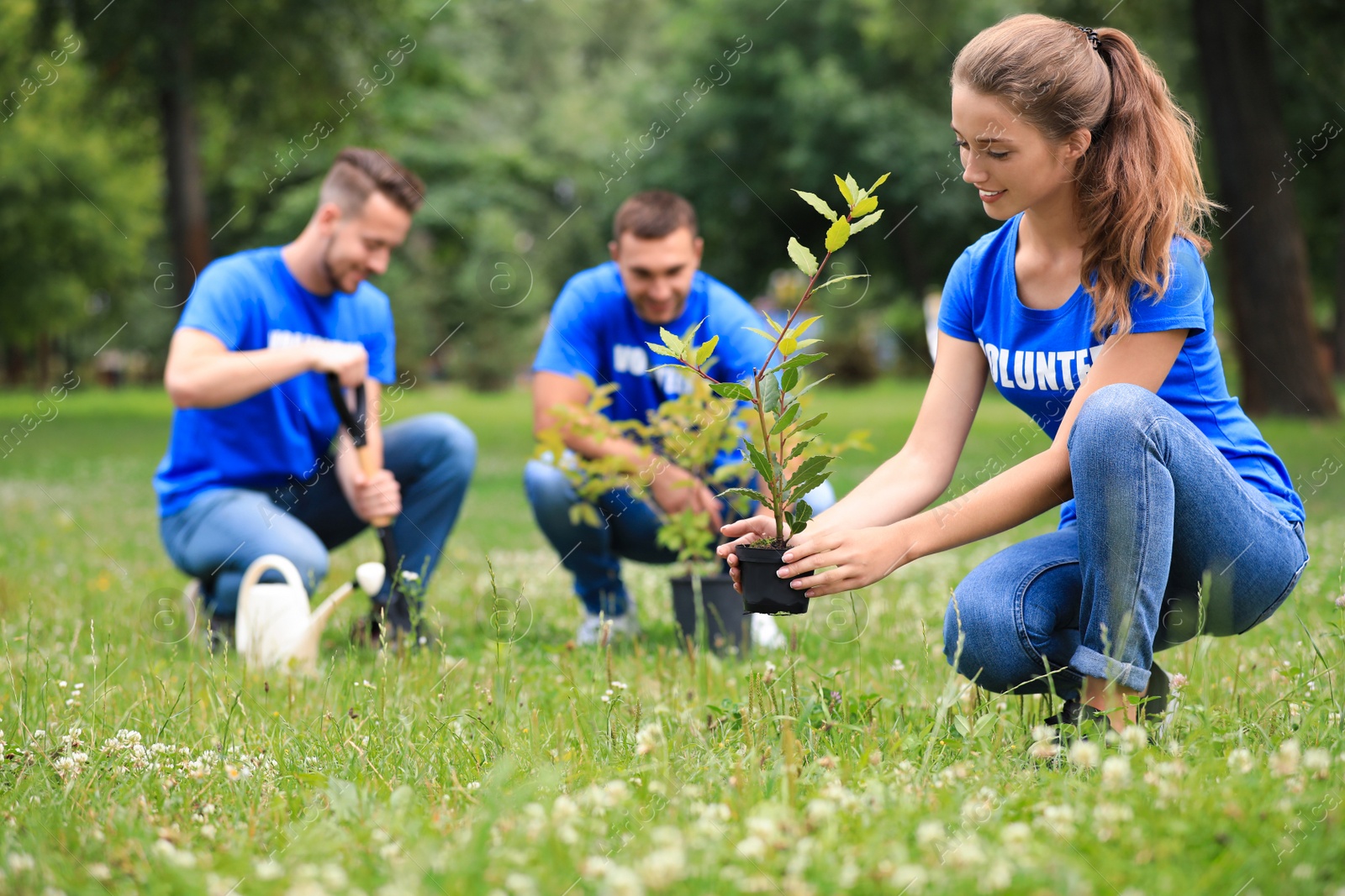 Photo of Young volunteers planting trees in green park. Charity work