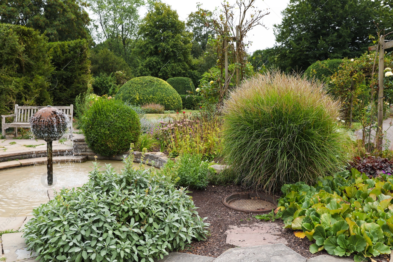 Photo of Beautiful view of garden with green plants