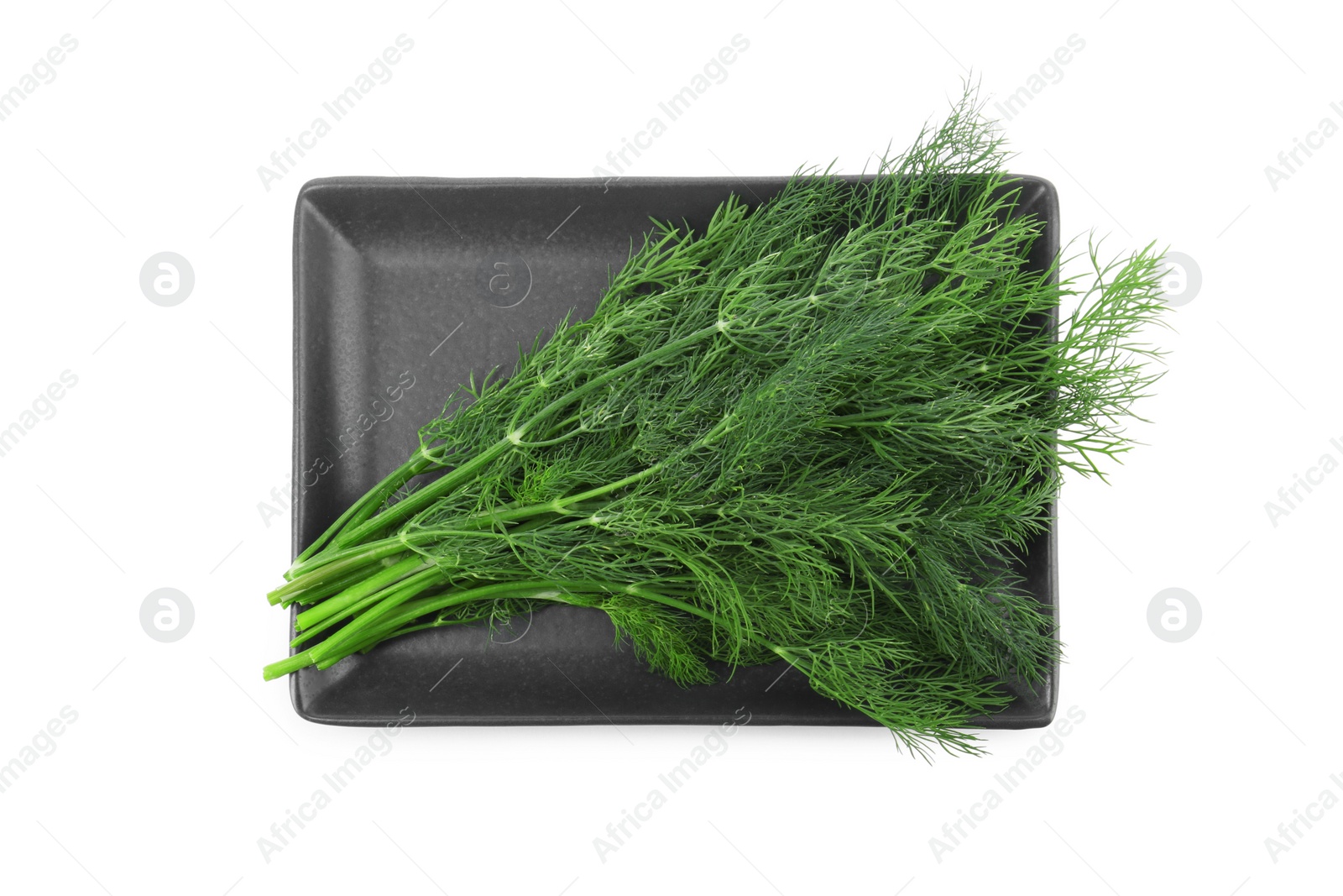 Photo of Plate with fresh dill isolated on white, top view