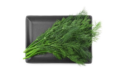 Plate with fresh dill isolated on white, top view