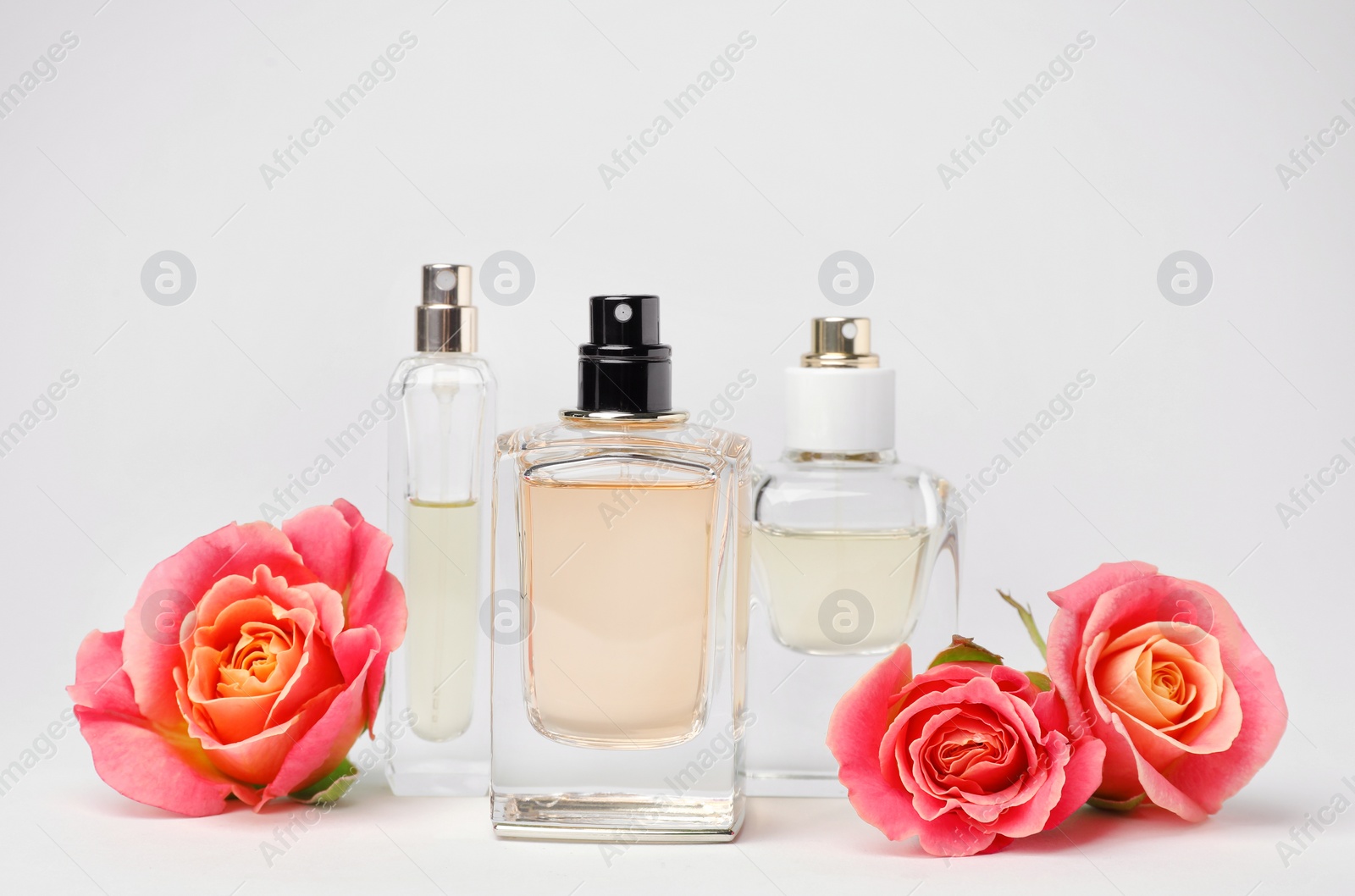 Photo of Composition with transparent bottles of perfume and beautiful flowers on white background