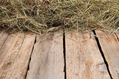 Photo of Dried hay on wooden table, closeup. Space for text