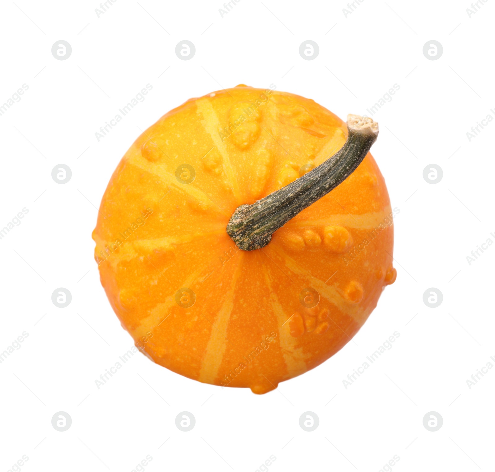 Photo of One fresh orange pumpkin isolated on white, top view