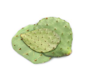 Image of Many Opuntia cactus pads on white background