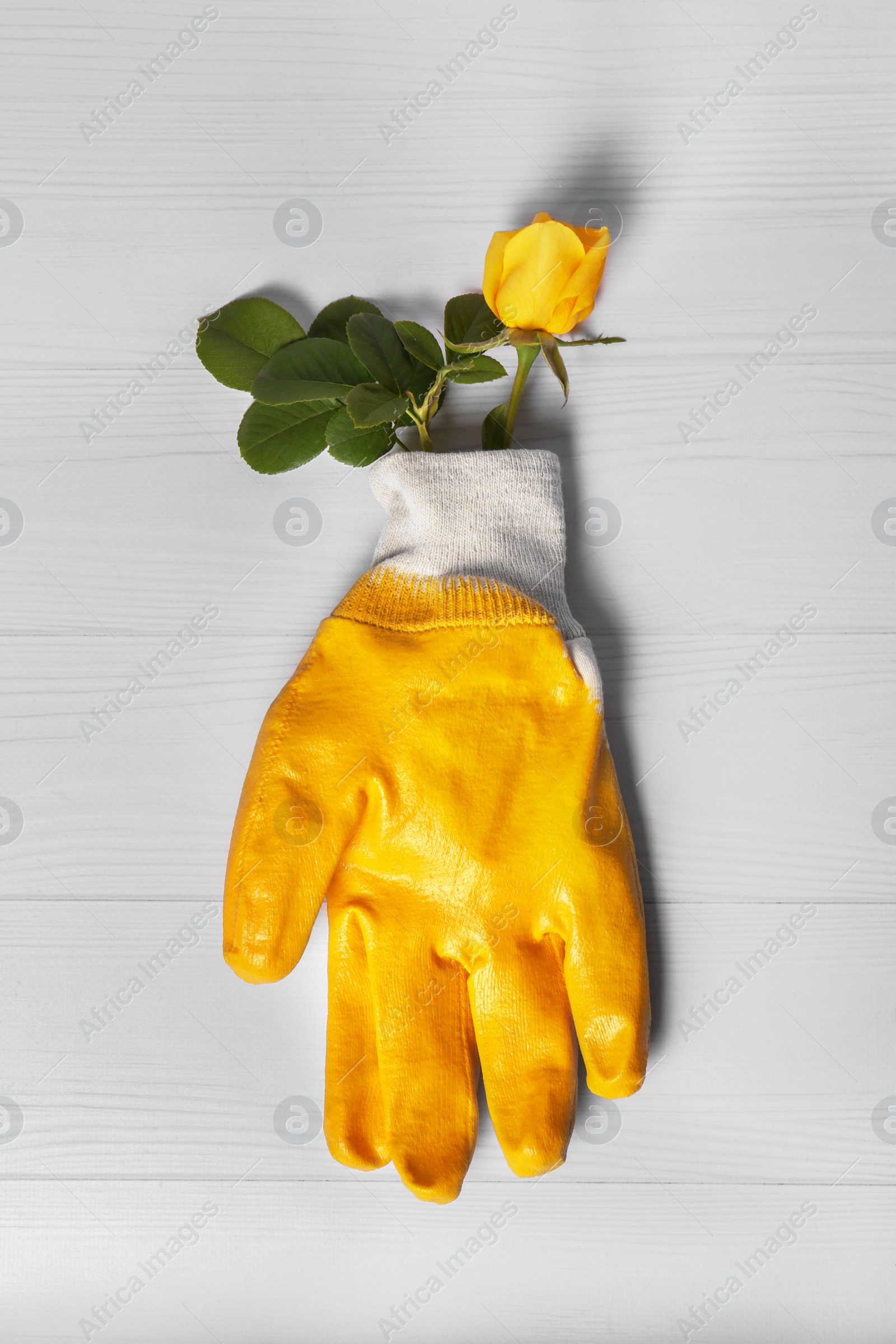 Photo of Gardening gloves with beautiful rose on white wooden table, top view