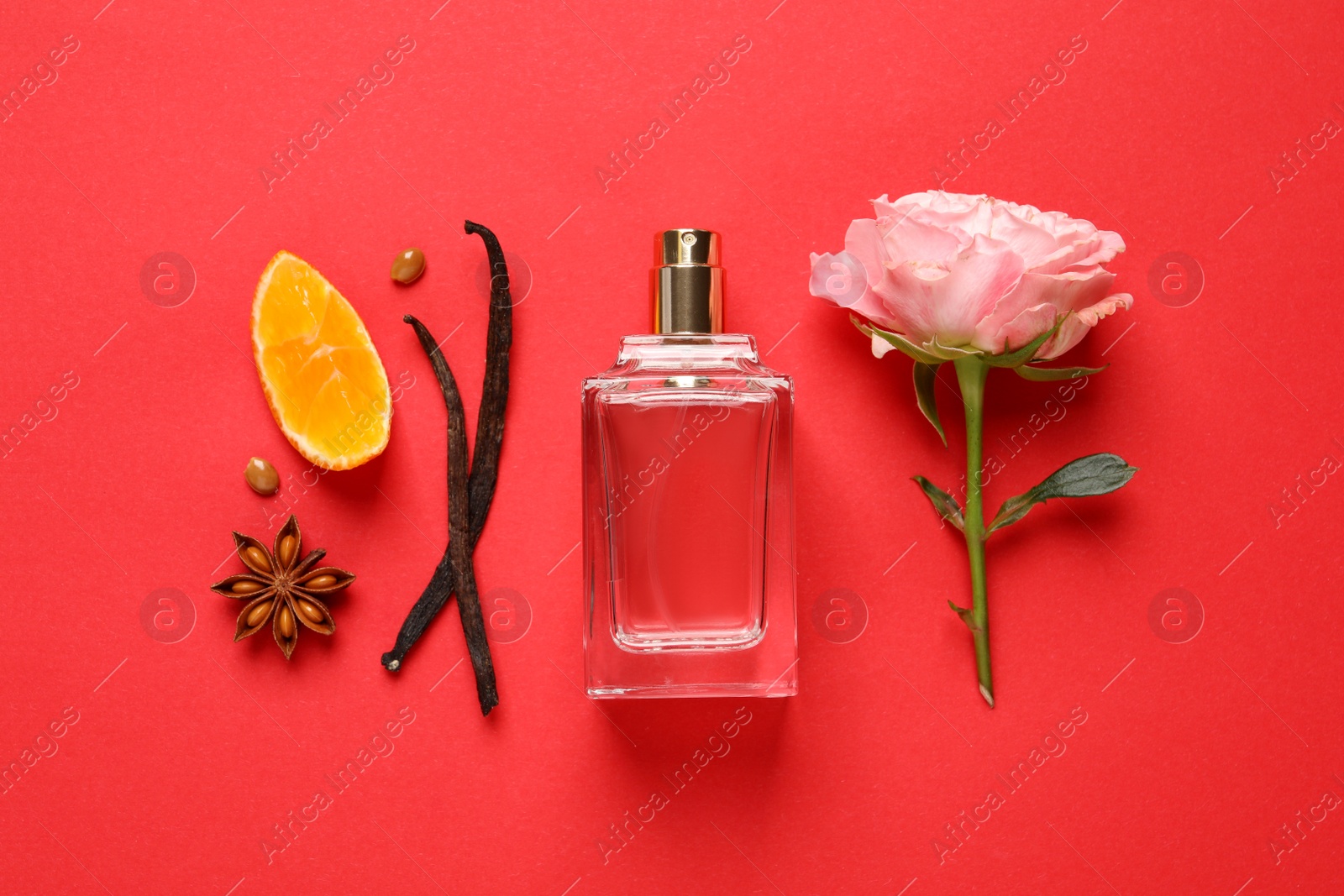 Photo of Flat lay composition with bottle of perfume and fresh citrus fruit on red background