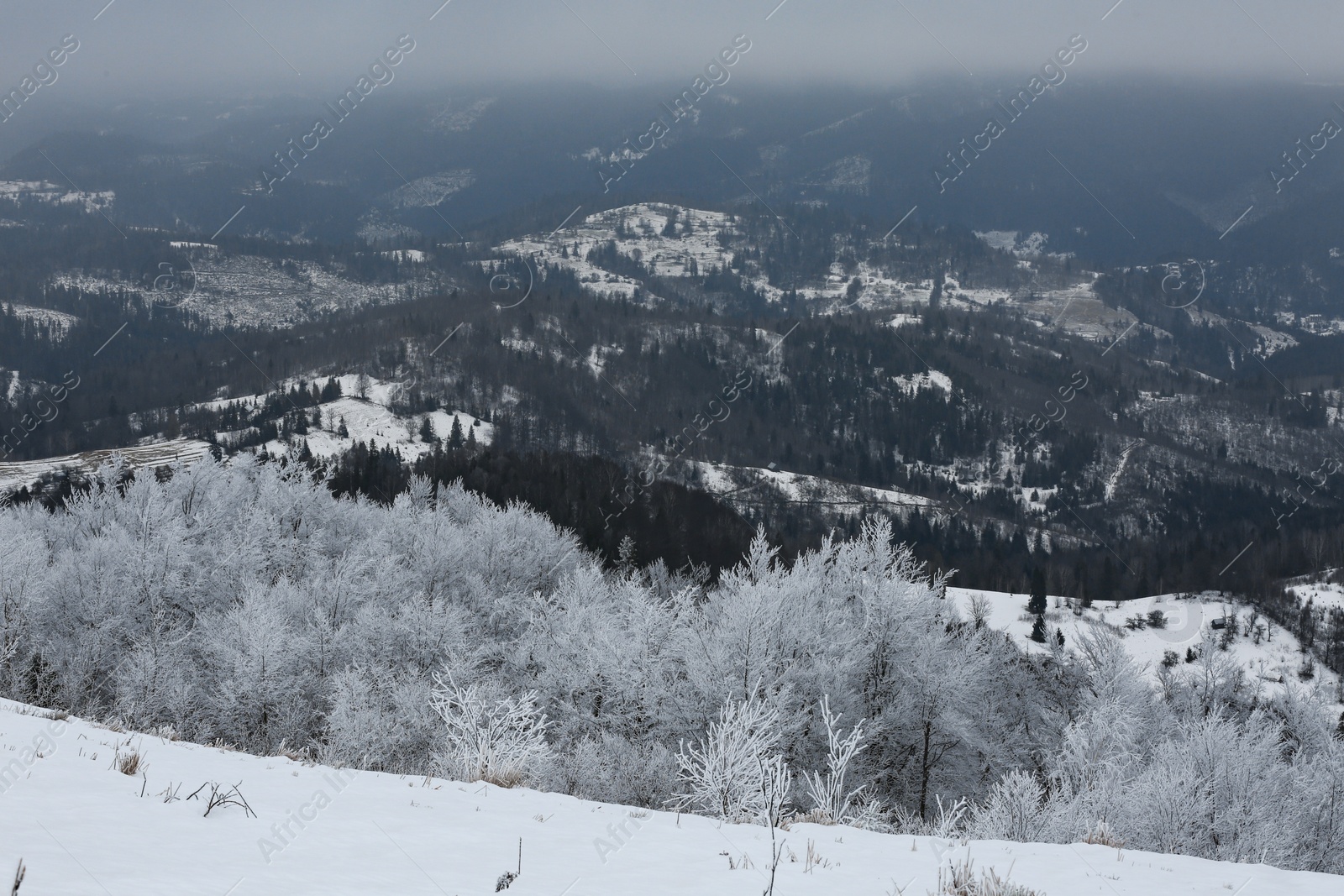 Photo of Picturesque view of trees covered with hoarfrost and snowy mountains on winter day