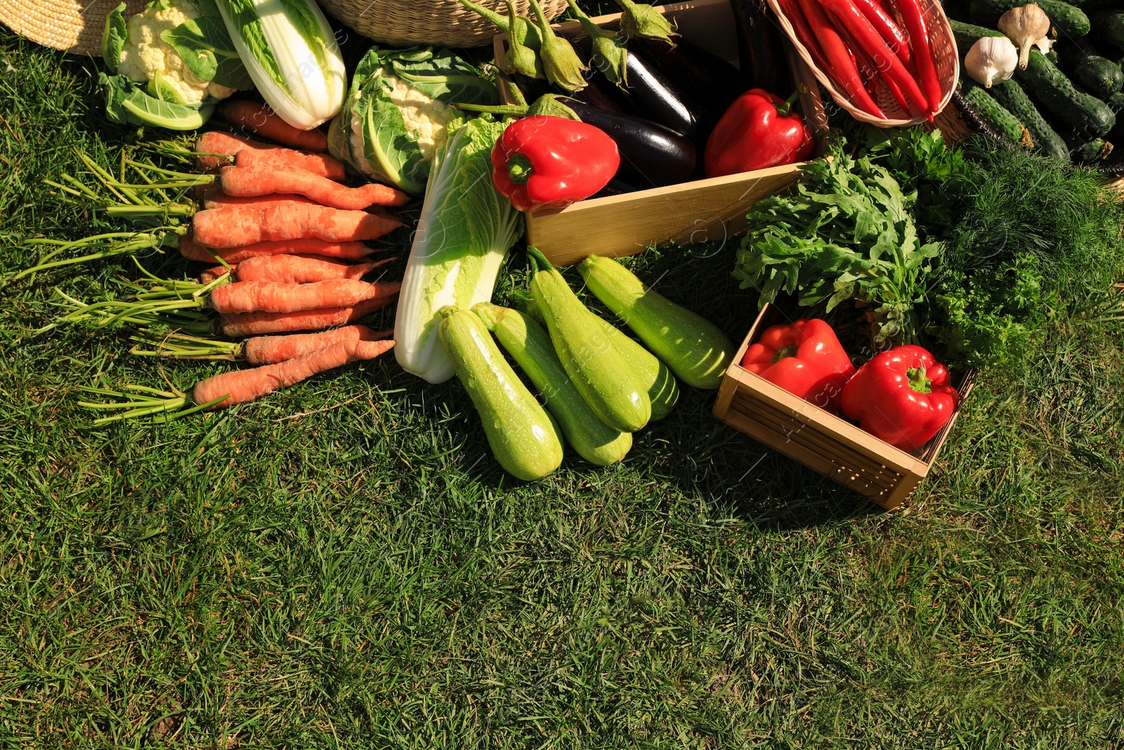 Photo of Different fresh ripe vegetables on green grass, flat lay. Space for text