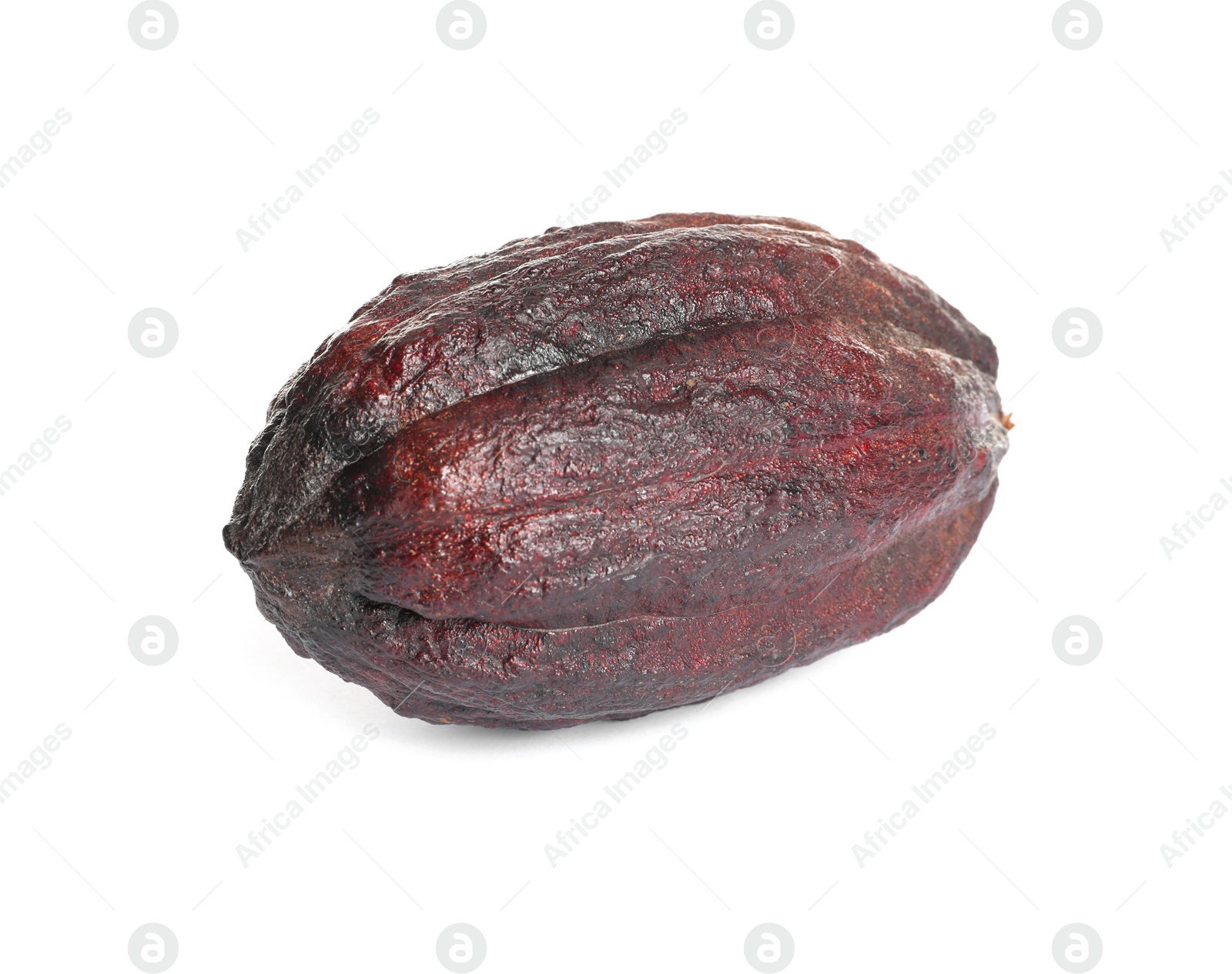 Photo of Whole tropical cocoa pod isolated on white