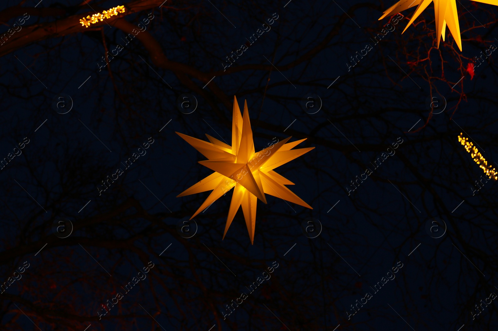 Photo of Beautiful Christmas lights in shape of stars hanging from trees in evening, low angle view