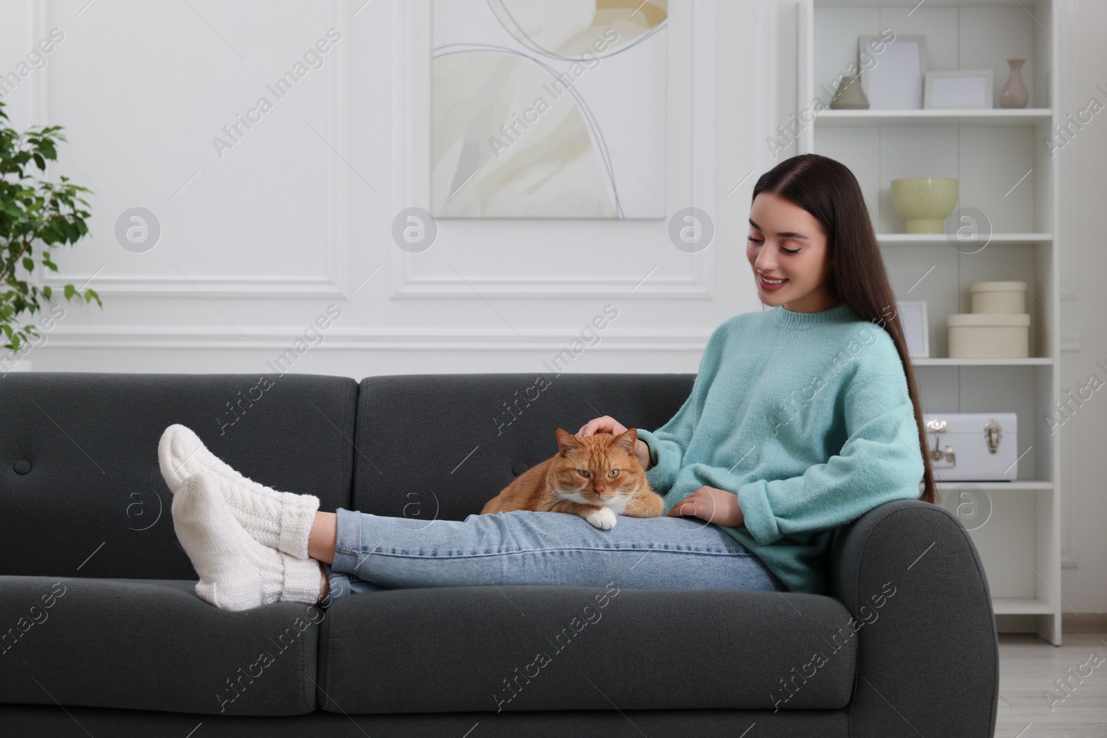 Photo of Beautiful woman petting cute cat on sofa at home