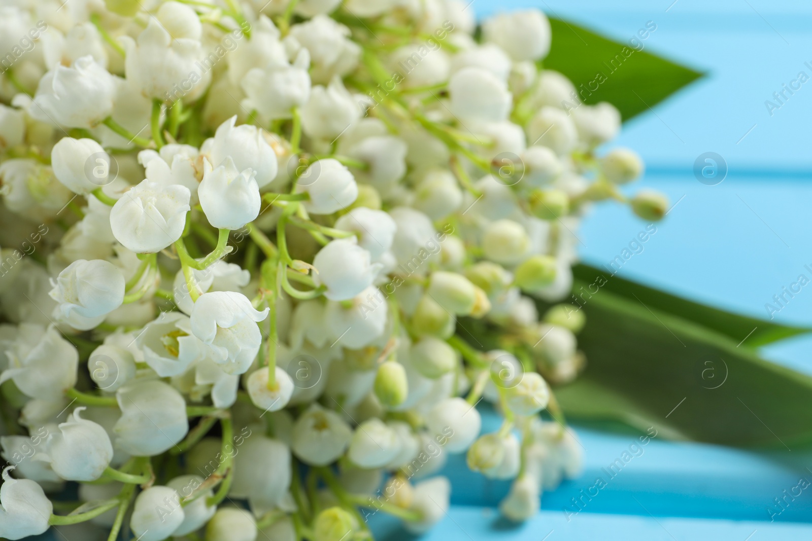 Photo of Beautiful lily of the valley bouquet on light blue wooden table, closeup