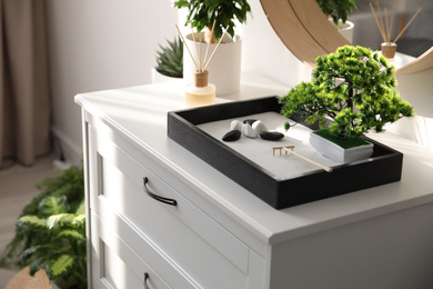 Beautiful miniature zen garden on white cabinet indoors