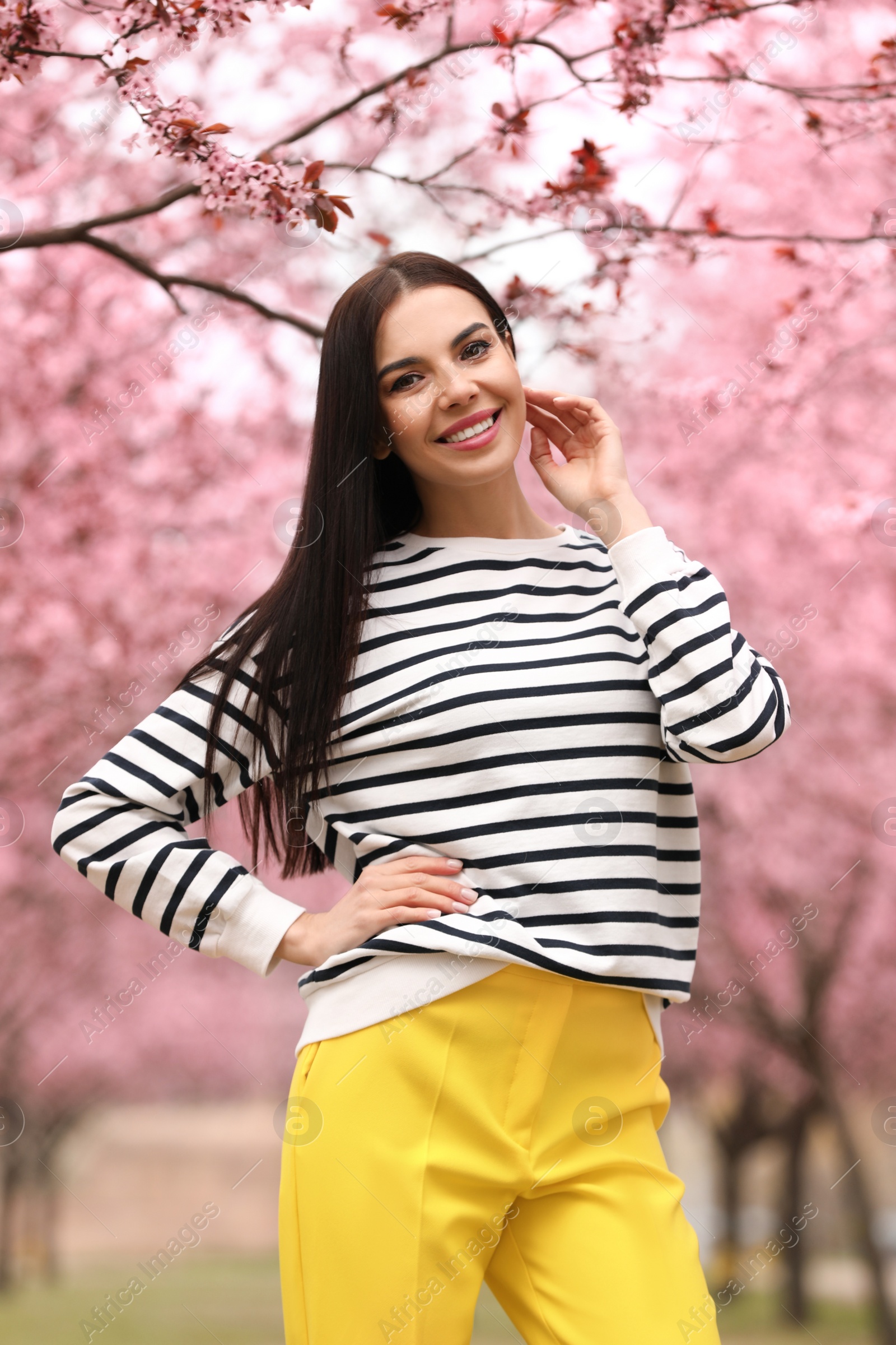 Photo of Pretty young woman in park with blooming trees. Spring look