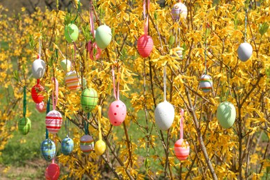 Beautifully painted Easter eggs hanging on tree outdoors