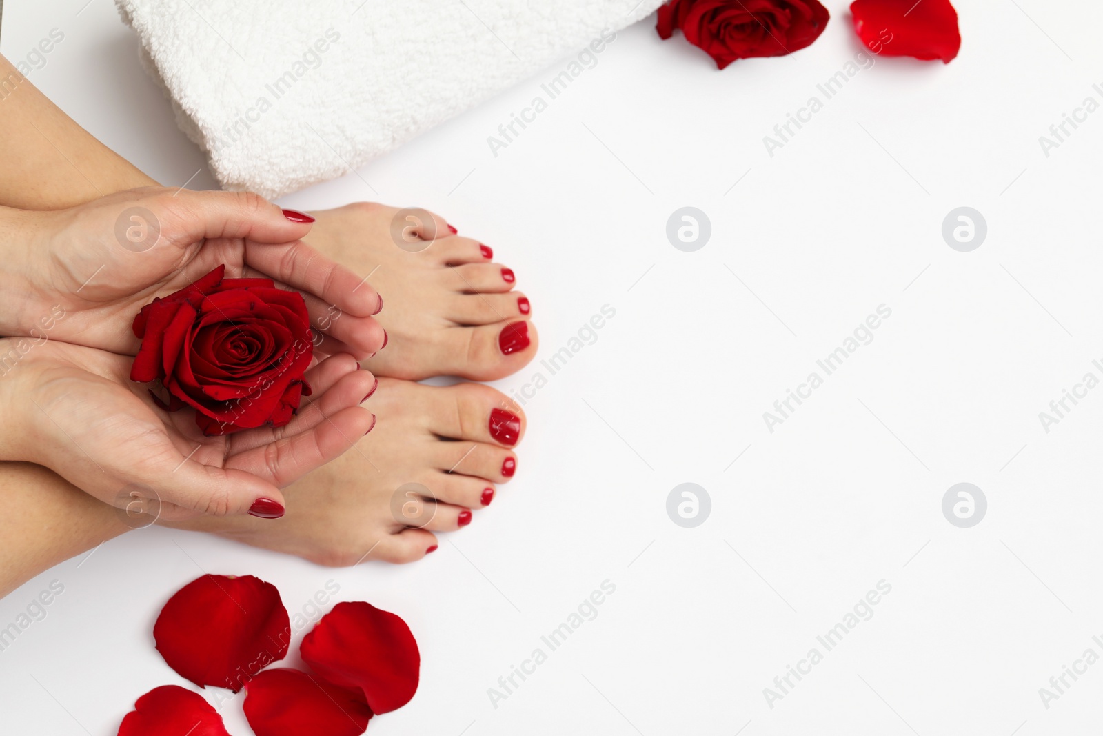 Photo of Woman with stylish red toenails after pedicure procedure and rose flowers on white background, top view. Space for text