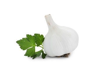 Photo of Fresh garlic bulb and parsley isolated on white